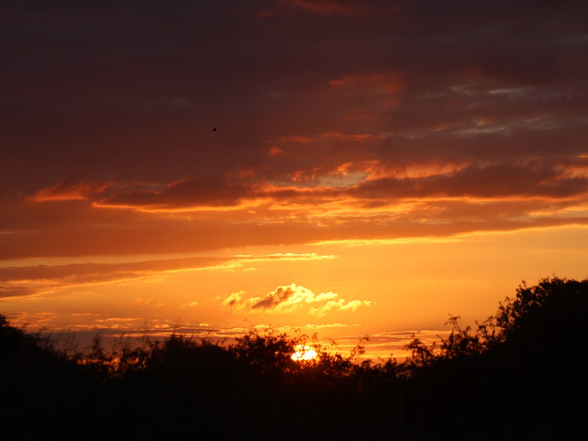 Norfolk Nature 1 – Sundown and Sunrise at&nbsp;Holme